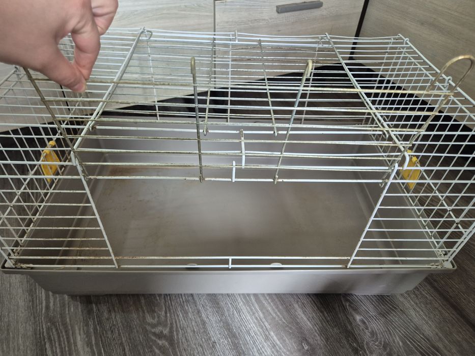 Голяма клетка за зайче