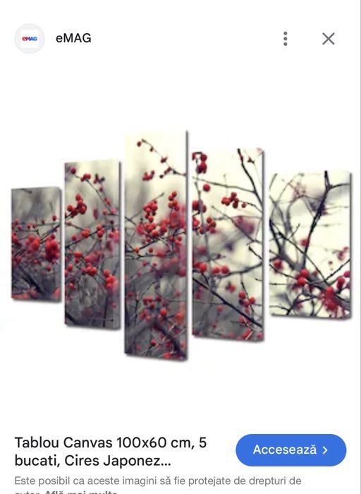 Tablou canvas NOU 100x60 cm