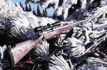 * AWP MODIFICAT * (Cea Mai Puternica Arma Pentru Airsoft) CU LUNETA