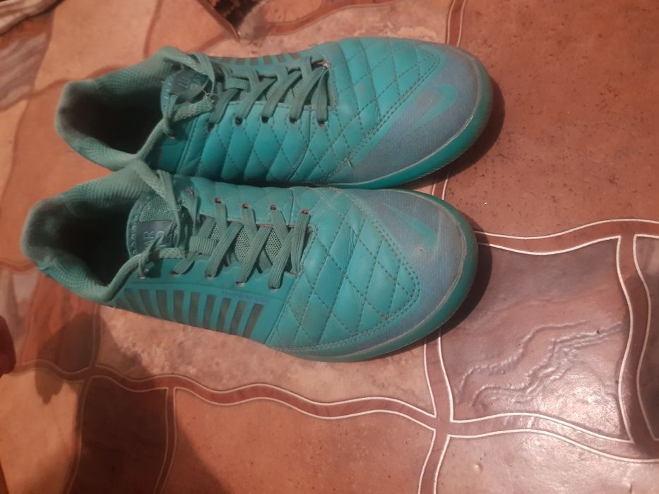 Сороконожки лунар гато