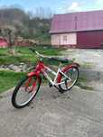 Bicicleta copii 8-10 ani