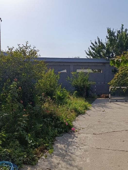 Дом с большим огородом