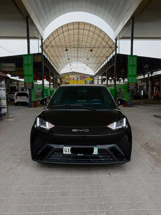 Byd seagull Nasiya savdo