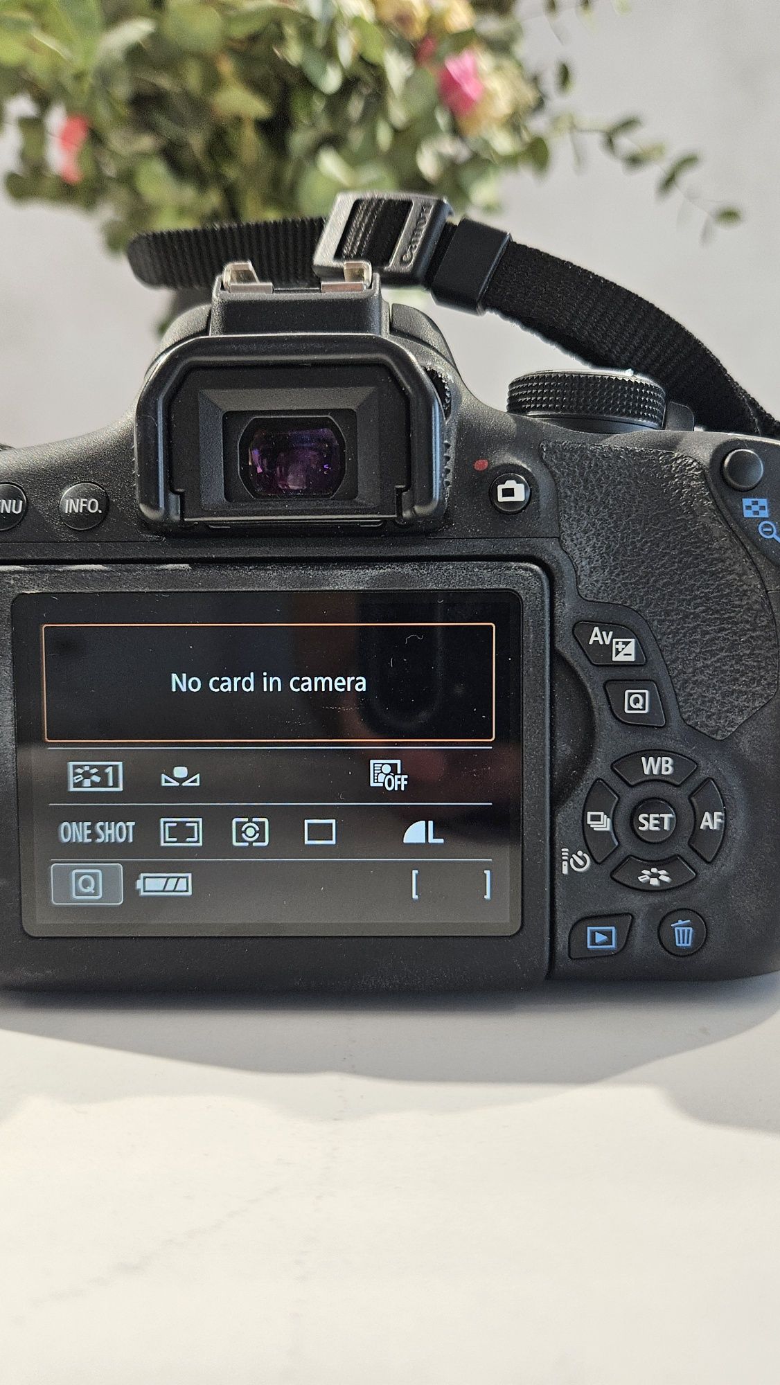 Canon EOS 750D , Obiectiv 18 - 55 mm