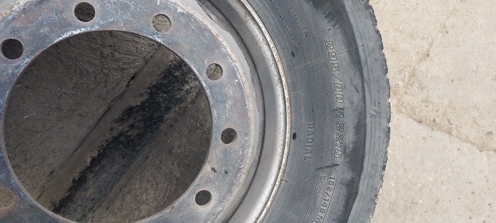 Xolati zoʻr yoriqlari yoʻq tishlari 50 60% kartishka balon