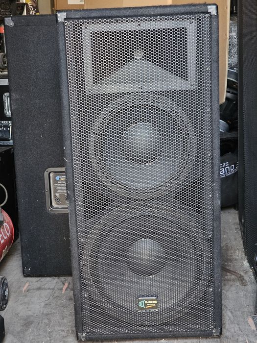 Трёхполосные пассивные колонки LNM PROTECH TS1215