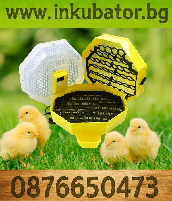 Инкубатори за люпене на пилета, директен вносител