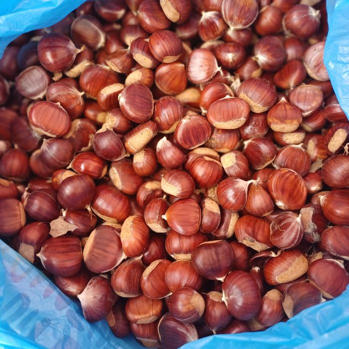 Castane proaspete