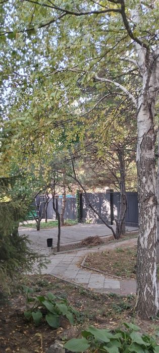 Сдается в аренду Кафе завтрак