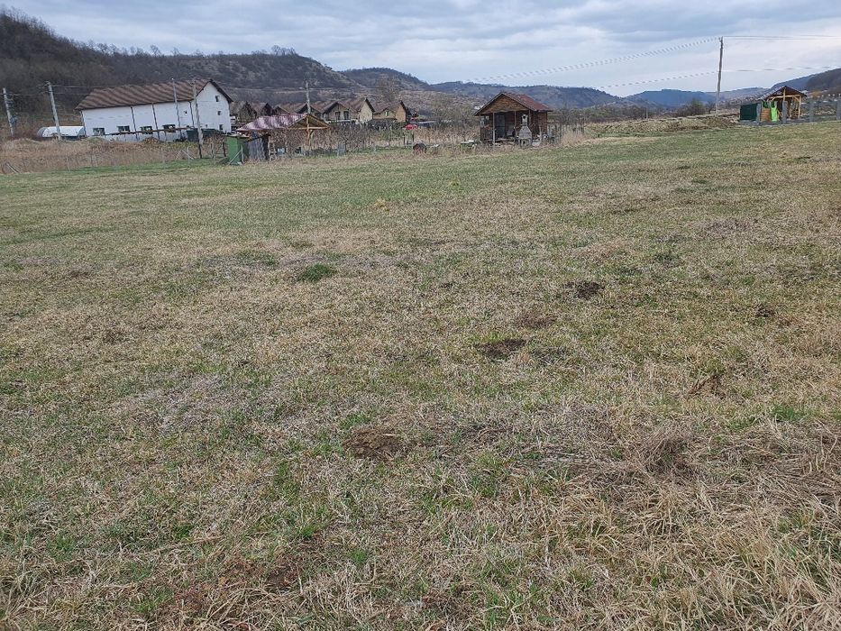 7,8 ari teren intravilan in Livezeni cu Pug aprobat