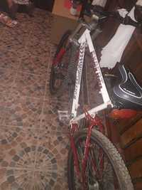 Bicicleta first bice