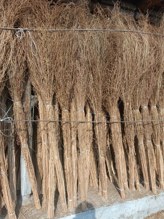 Katta ko'cha supurgi, shipirgi