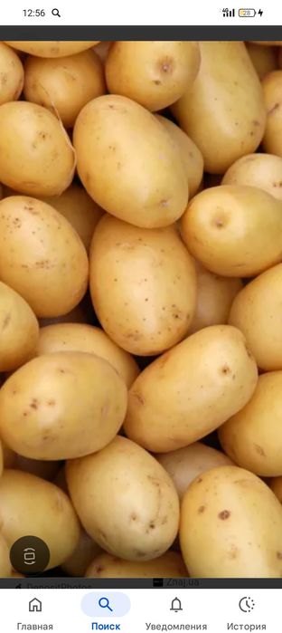 Продукты питания