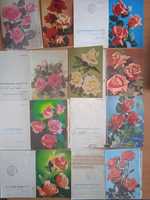 открытки - бланки поздравительных телеграмм СССР. цветы с новым годом