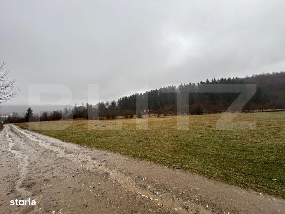 Teren extravilan , 4150 mp , zona de cabane Paltinoasa Suceava
