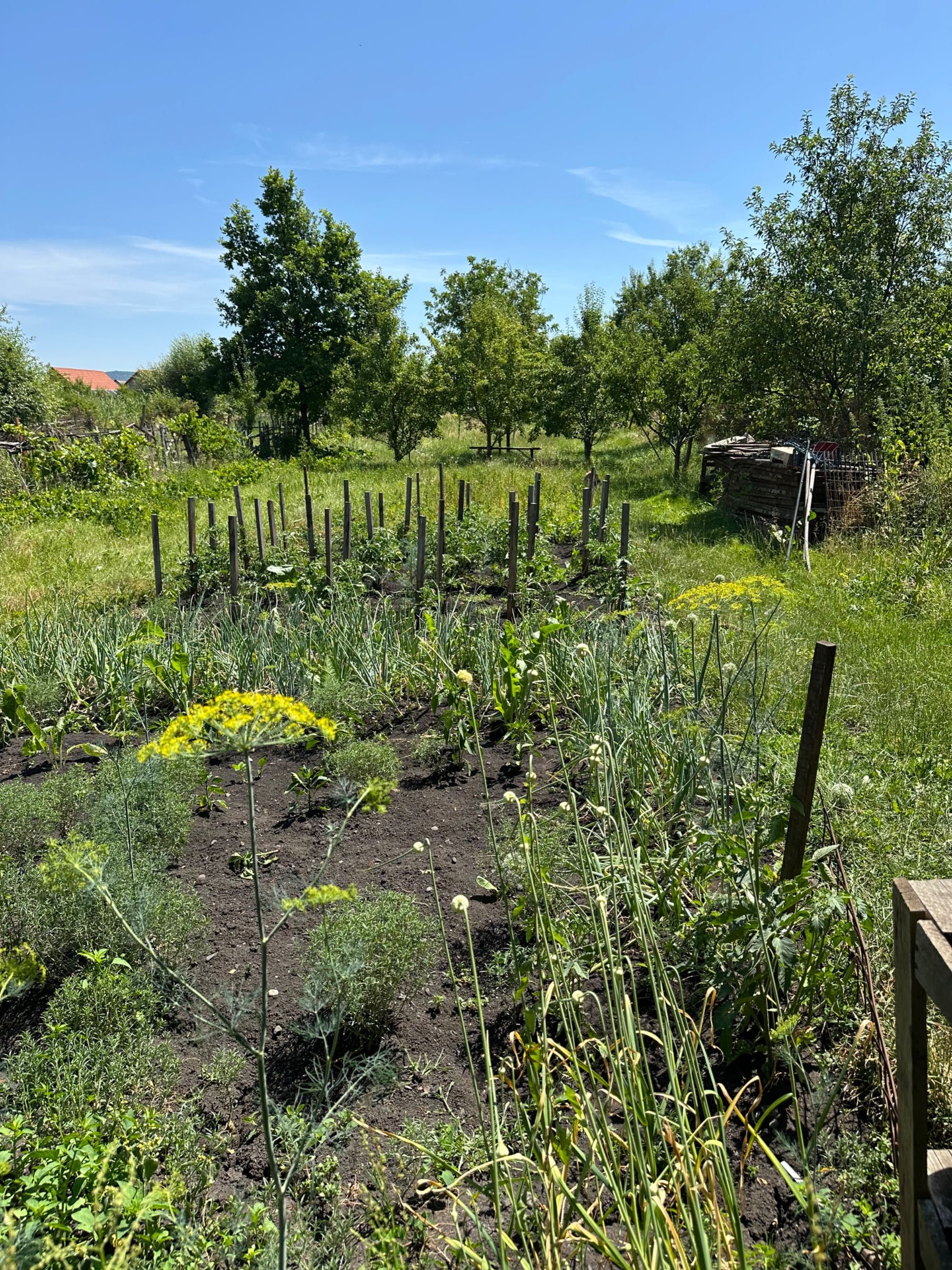 Casă de vânzare Reghin