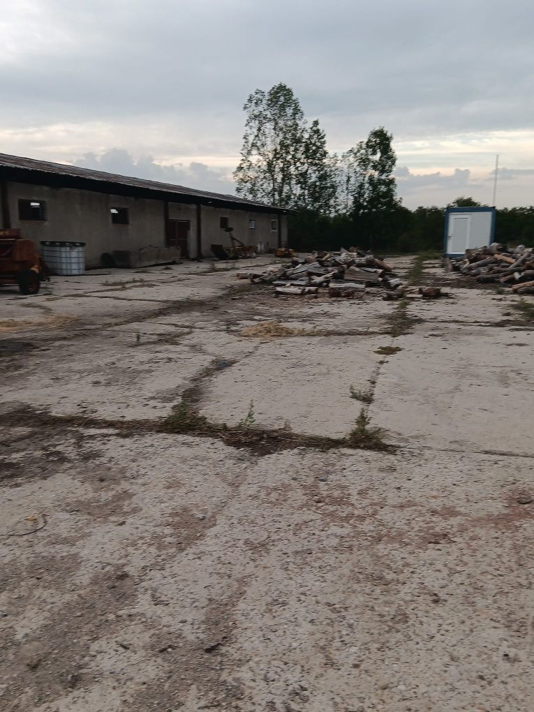 Ferma,Teren si Hala 25€/mp
