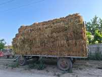 Vând Baloți Lucernă Coasa a 2-a