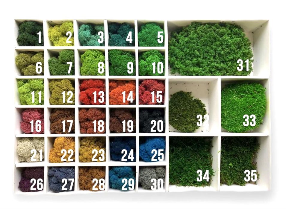 Картины из мха премиум-класса: стиль, натуральность и удобная цене