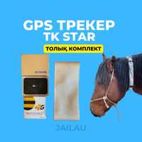 Жылқыға арналған TK Star GPS трекер. ДЖПС для лошадей