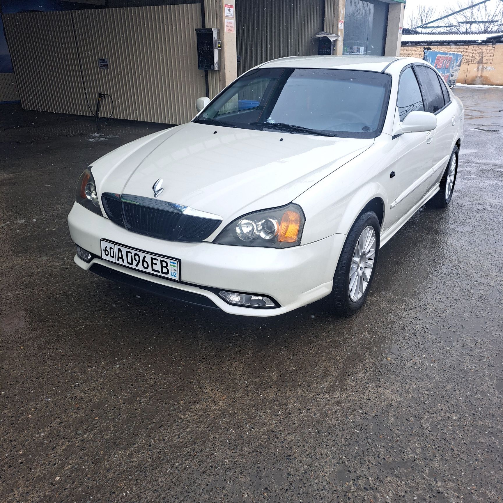Daewoo    magnus