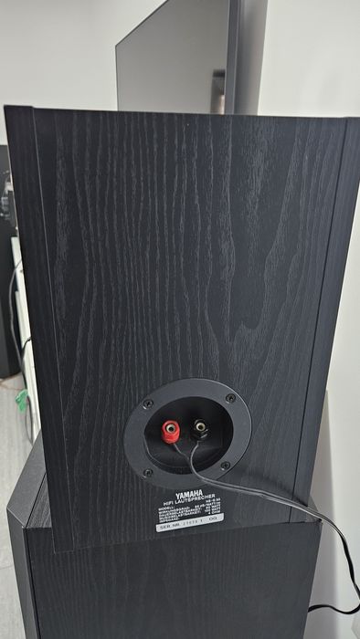 Boxe Yamaha ns g30