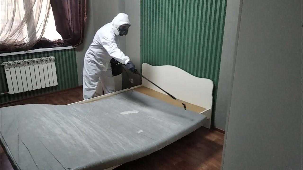 Dezinfeksiya klop tarakan Дезинфекция СКИДКИ до 40%
