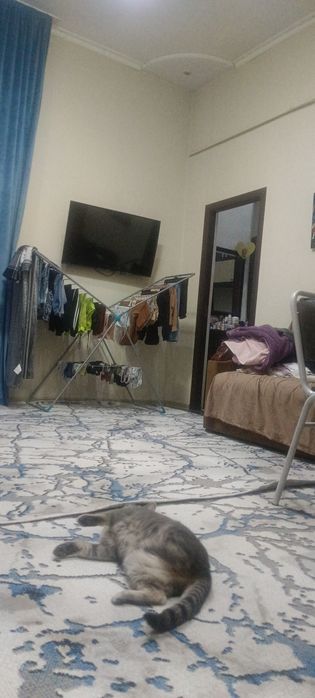 Квартира на земле