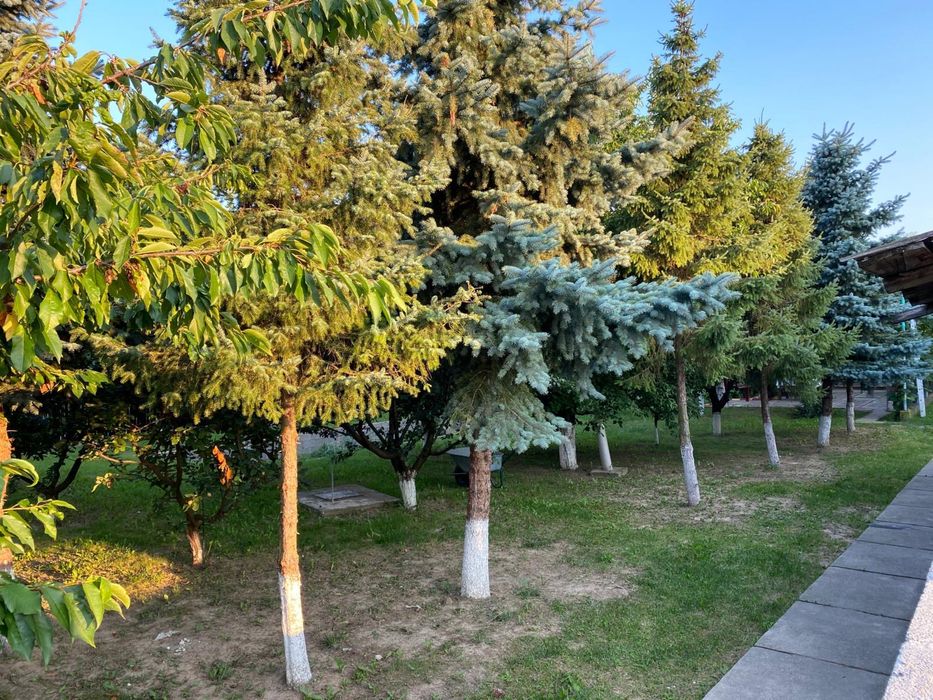 Teren intravilan in Hudum – 1700 mp/75€/mp