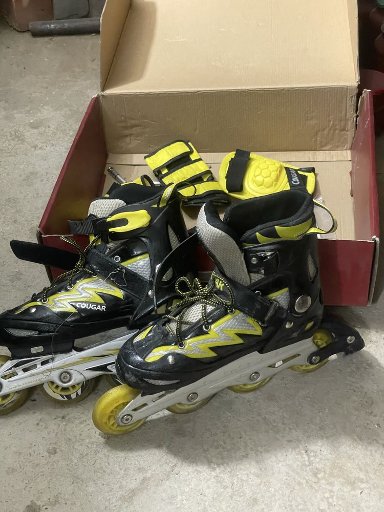 Rolik sport anjomi