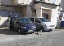 vito vivaro trafic