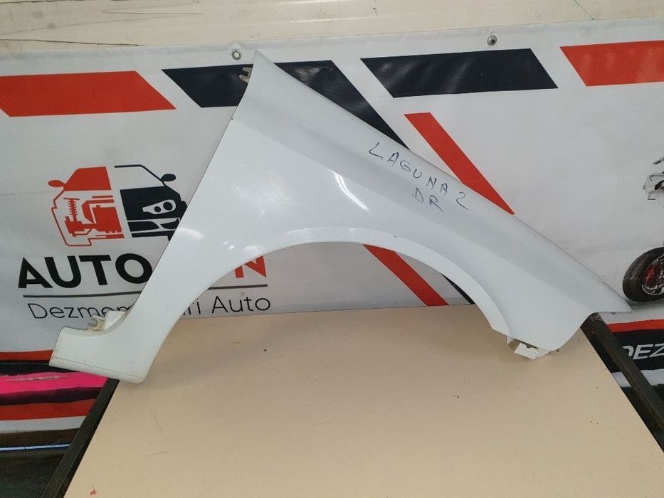 Aripa  dreapta fata RENAULT LAGUNA II BG0/1_ 2001 - 2007 1.9 dCi F9Q 718, F9Q 754