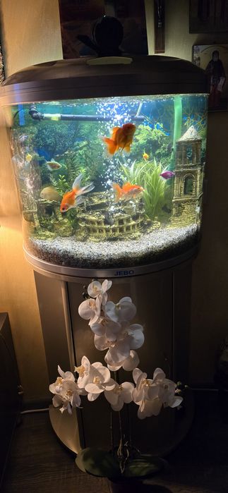 Vand acvariu asa cum se vede in poze