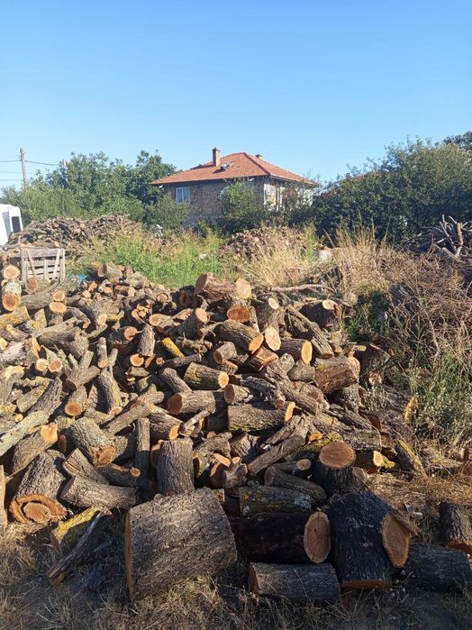 Продавам Дърва за огрев