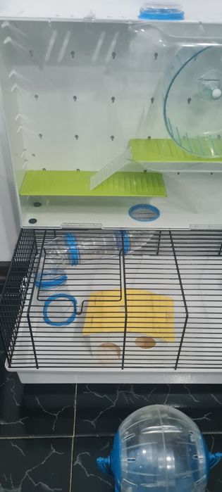 Cusca hamster completă