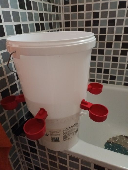 Adapatoare automate  apă păsări  alimentate găleată  10l