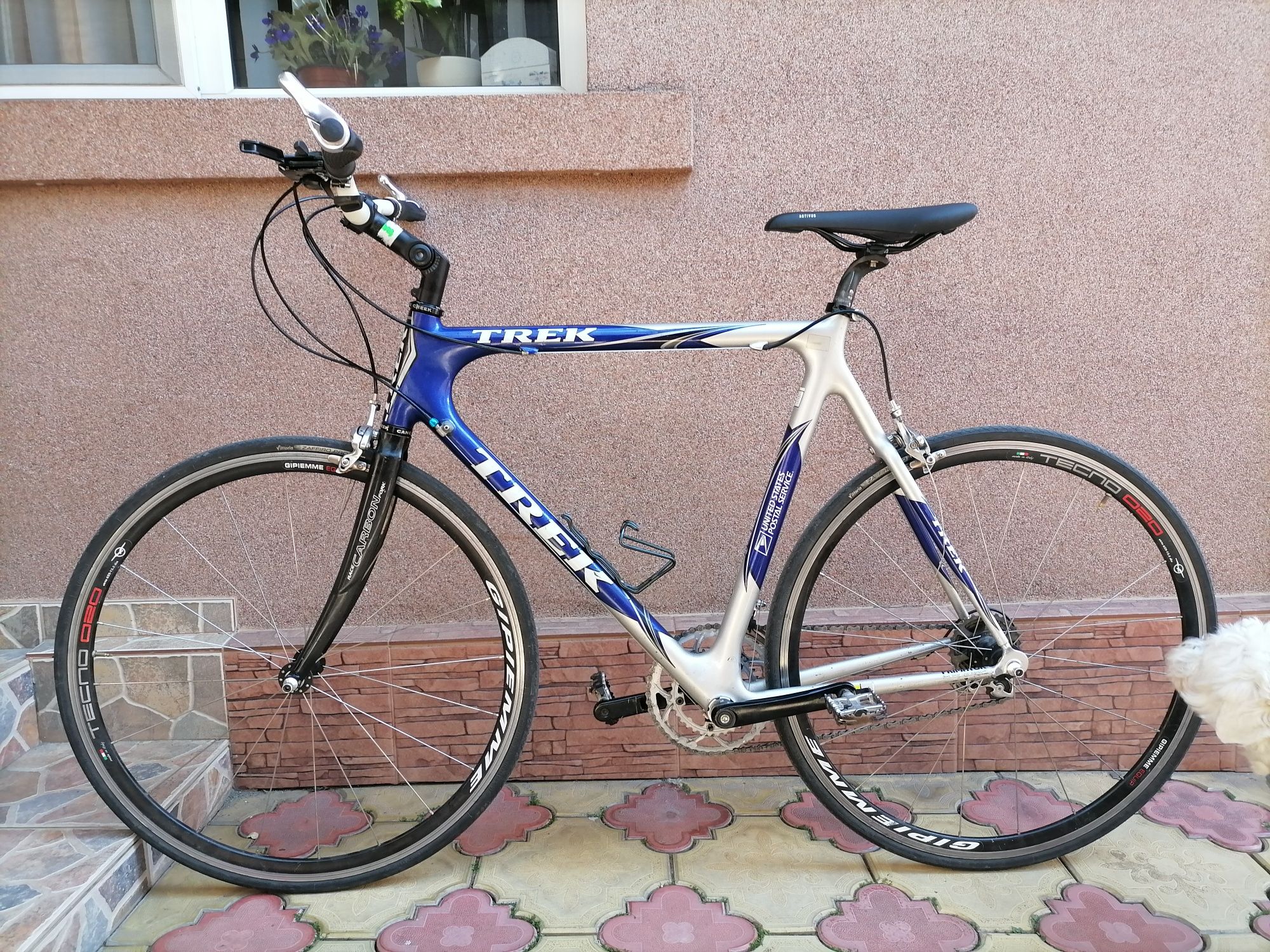 Bicicleta Trek carbon