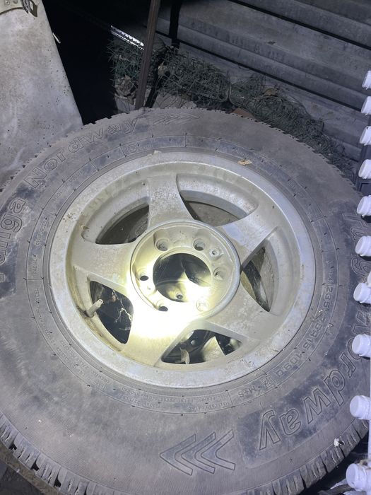 Зимняя резина тунга