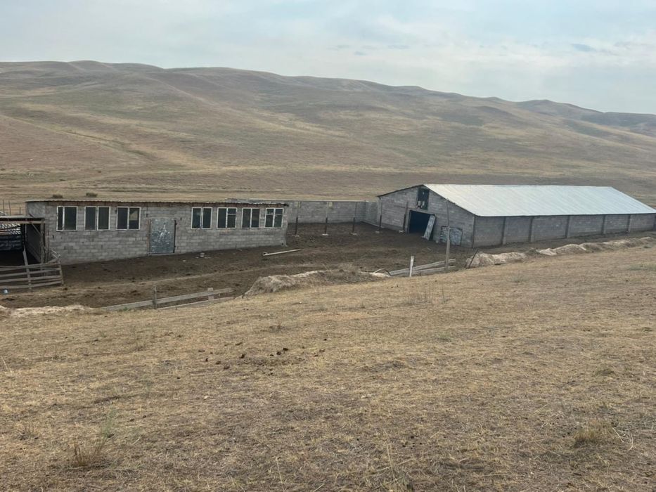 продается Фазенда