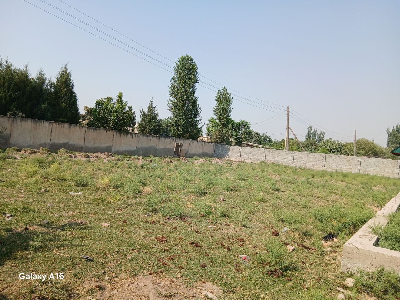 Hazorbog sentr, 9 sotix yer sotiladi