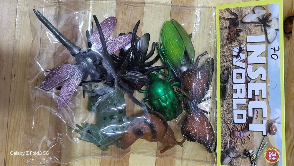 Морские и Дикие Животные. Птицы и насекомые