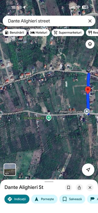 Teren adevarului dante aligheri