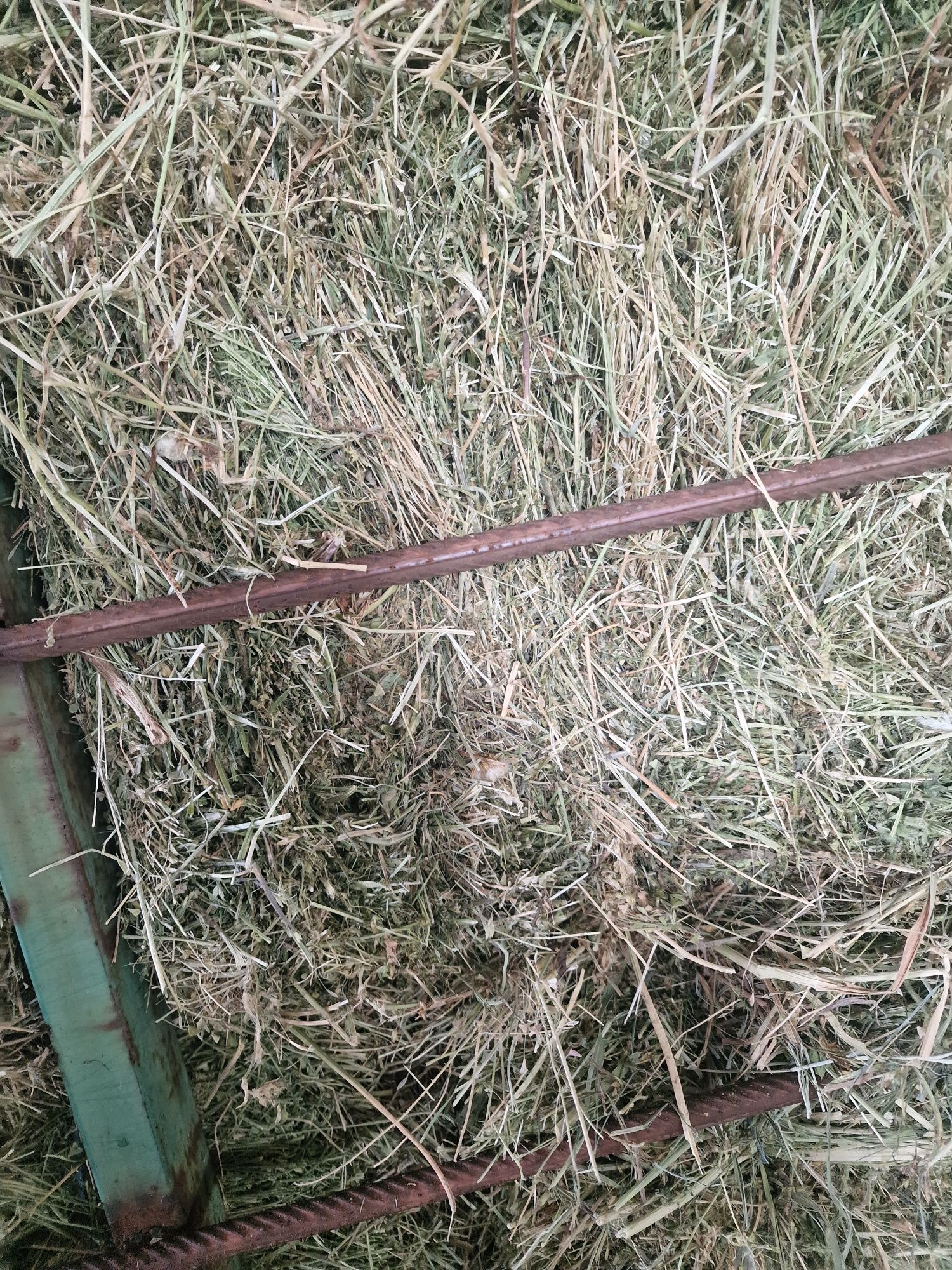 Lucernă de Vânzare