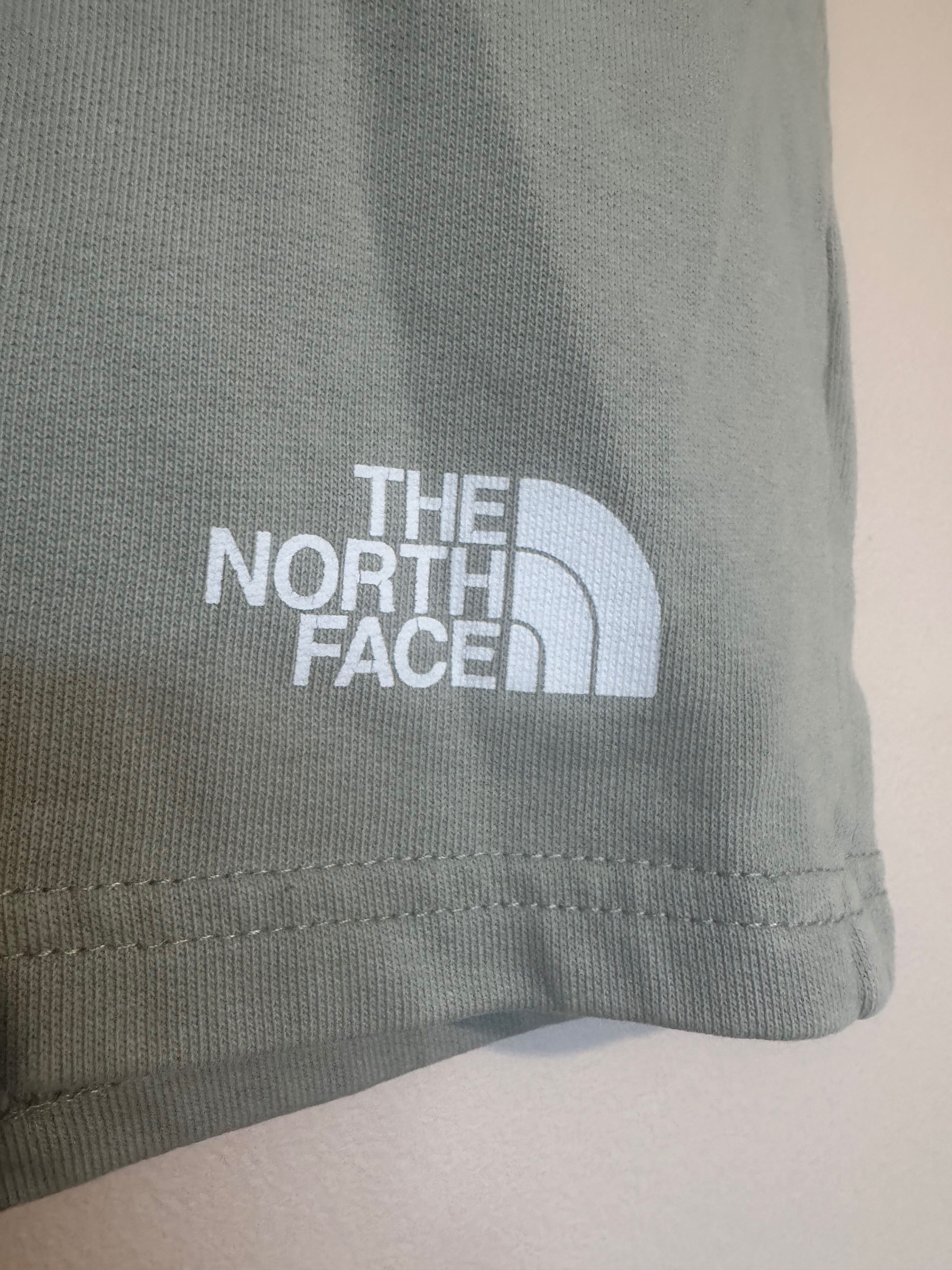 THE NORTH Face Standard Shorts.