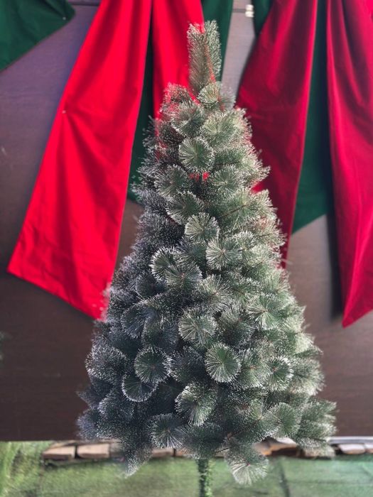 Елки, доставка по РК