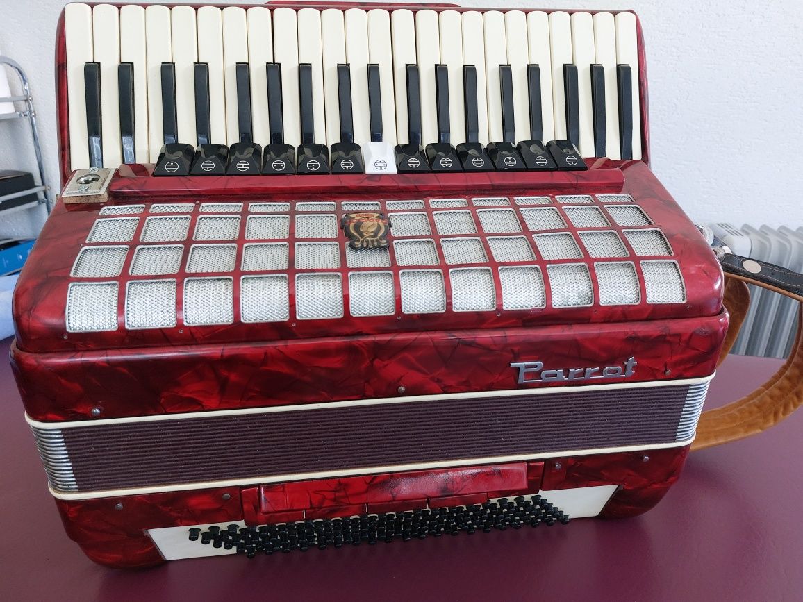 Acordeon Parrot 120 basi