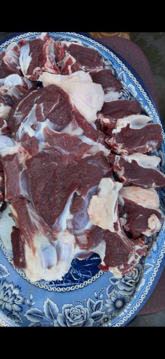 Qoylarimiani narhi 140000 min somdan