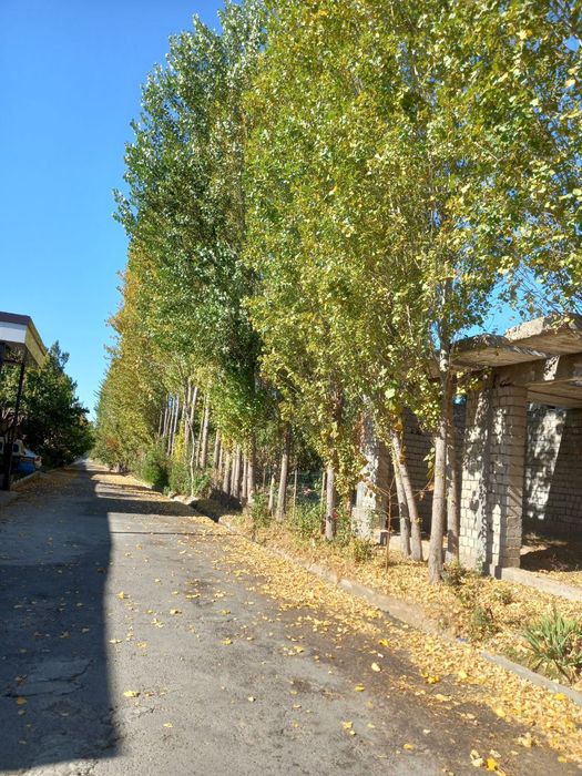 Срочно сотилаоти тррак бор