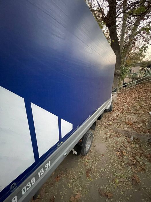 Gazel Biznis ideal Holata