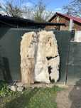 Cojoace ciobanesti